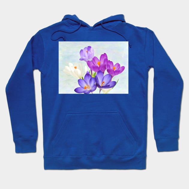 Spring Crocus Flowers Hoodie by lauradyoung